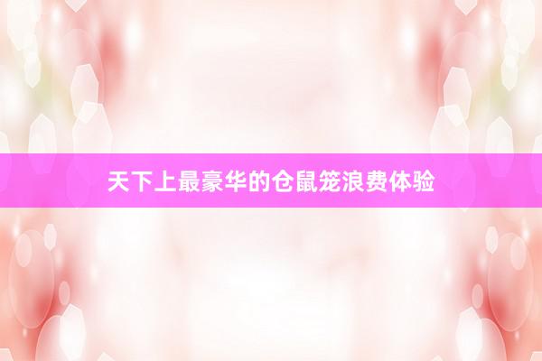 天下上最豪华的仓鼠笼浪费体验